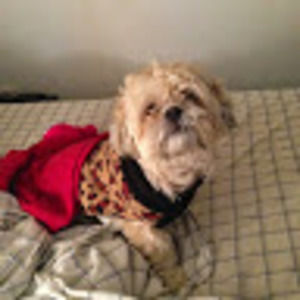 Meet your Posher, Joseyra